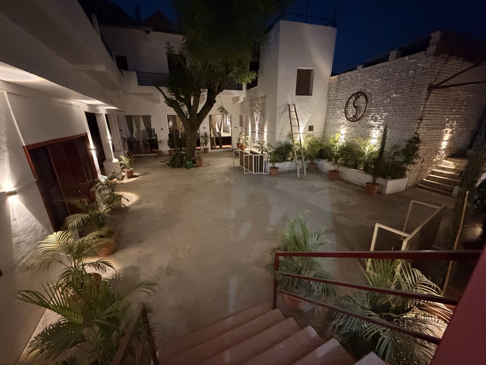 The ashram courtyard at night, with a tree, potted palms and softly lit white walls